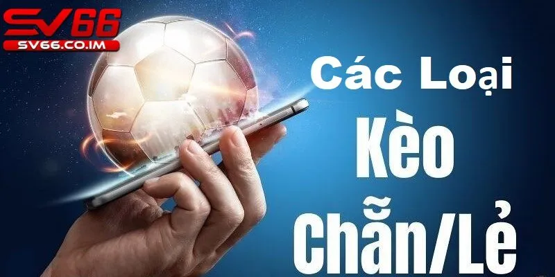 Các loại kèo chẵn lẻ phổ biến tại nhà cái sv66 