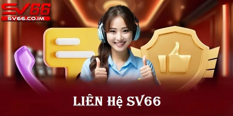 Tổng quan về liên hệ sv66